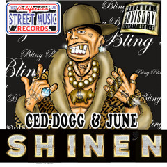 SHINE'N - CED-DOGG Ft. JUNE prod. by: BE FRESH