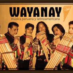 Wayanay - Saya Mix (Aromaandina.com)