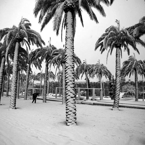 TiM FUCHS' - WINTER ViBECAST
