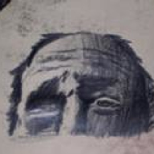 Zwawy Dusza No. 27 in D
