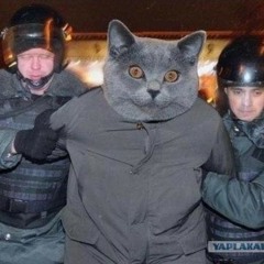 Контейнер