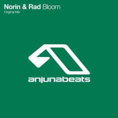 Norin & Rad - Bloom (Original Mix)