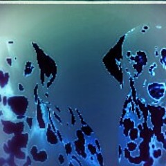 Acidxnet - 1001 DalmataxXx