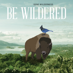 The Missing Peace (Gene Wilderness)