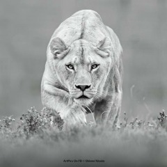 حميد الفراتي