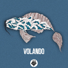 Volando (IOIO Prod.)