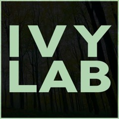 Ivy Lab   Baby Grey