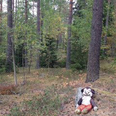 21.06.2014 Runge-Openair