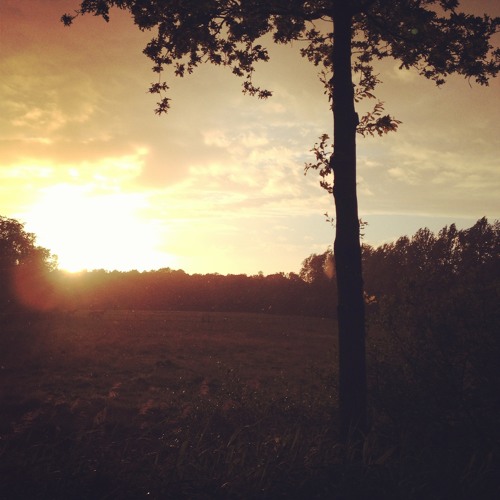 Mountain Sound [Of Monsters and Men]