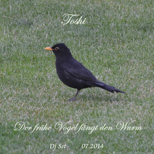 Der Frühe Vogel Fängt Den Wurm ( Dj Set @ Westerland )