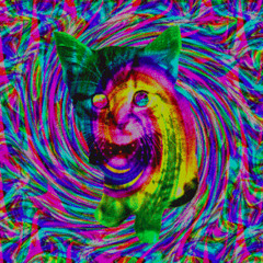 tripE