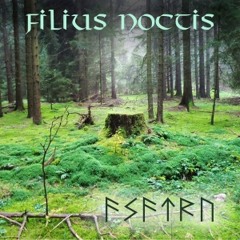 Midsommar