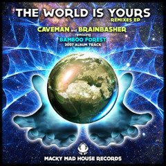 BAMBOO FOREST "The World Is Yours 2014 Remixes"(BRAINBASHER Remix)