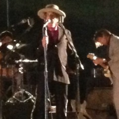 Shelter From The Storm