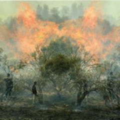 the illumine SUN(as gaza burns/the world turns)