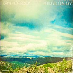 Sam Morrison - Natural Layers