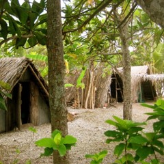 Вкусное путешествие 11 08 16 Вануату