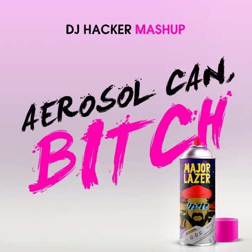 Aerosol Can, Bitch (DJ Hacker Mashup)