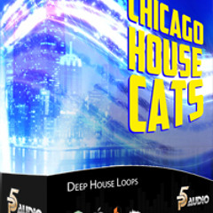 Chicago House Cats Loop Sets