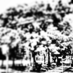 Autumn*Classic*