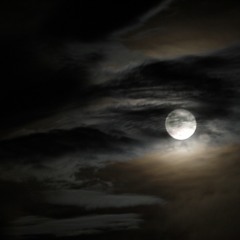 Midnight Tranquility During A Recent Episode of Insomnia