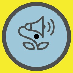 Nuage – Forgotten Tones [Forgotten Tones EP] 12" (APLANT03)