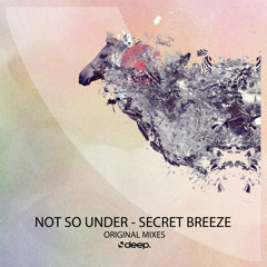 Not So Under - What I Want (Original Mix)