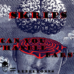 SKrips - Can You 'Handle Bars'