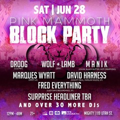 Live @ PM Block Party 2014