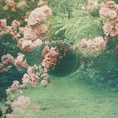 Braids - Amends (Kohi Remix)