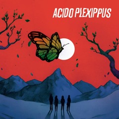 Voy a Salir-Acido Plexippus