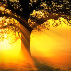 Steve Carlson - A Breeze Of Sunshine