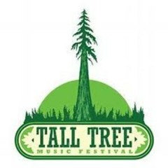 Tall Tree 2014