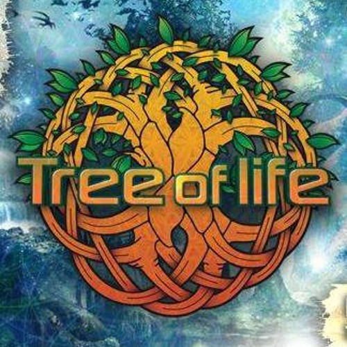 DJ Johnny Blue @ Tree Of Life Festival 2014 (Lake Stage)