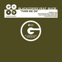 Black Coffee - Turn Me On (feat. Bucie) - Raw Artistic Soul Vocal Dub