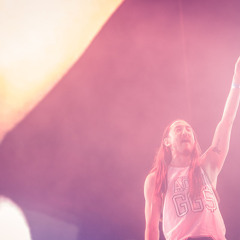 Steve Aoki LIVE @ Electric Daisy Carnival (Las Vegas 2014)