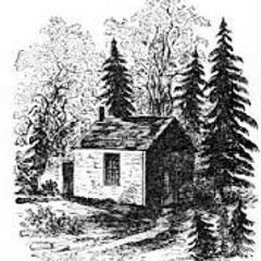 Adinfinitum: Thoreau's Walden (Conclusion)