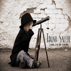 Tinush Salehi - Looking For That Something