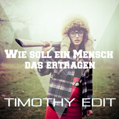Philipp Poisel - Wie Soll Ein Mensch Das Ertragen (Timothy Remix)