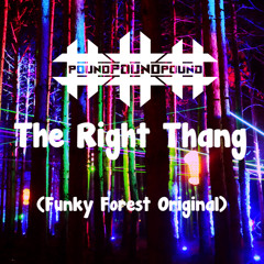 The Right Thang (Funky Forest Original)--- 110 - 128 Transition ---