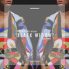 Black Widow (Vice Remix)