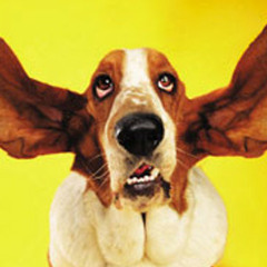 just for listen