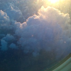 this the life