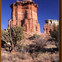 ù Paysages Voisins ù