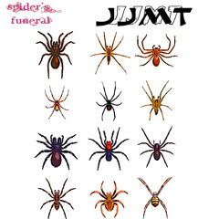 Spider's Funeral