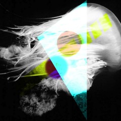 The Night Quates - Medusa (lights)