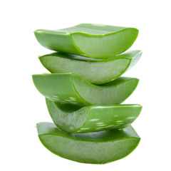 Dead Aloe Plants
