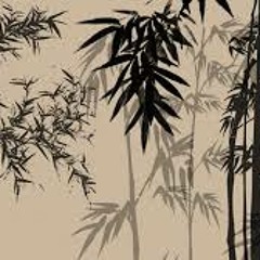 En Japon No Hay Gravedad