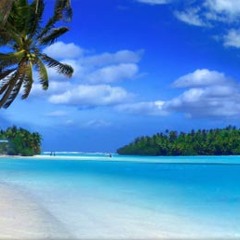 A Minor Crash In Honolulu(Prod. Crash)