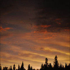 NightStaysYoung(TrimmMix)